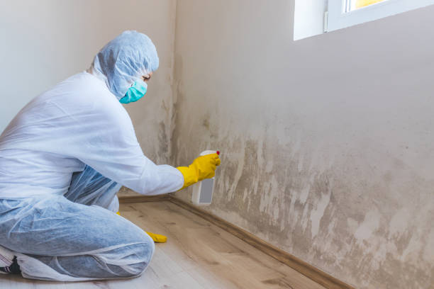 Mold inspector in Nunn performing thermal imaging