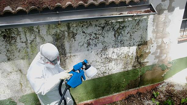 Mold Removal service in Nunn